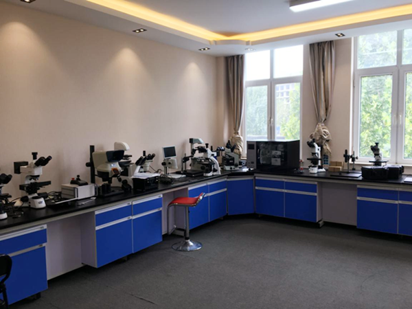 微仪光电工业显微镜销售部